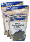 Shiloh Farms - Organic Petite Black Lentils 16 oz - 2 Pack