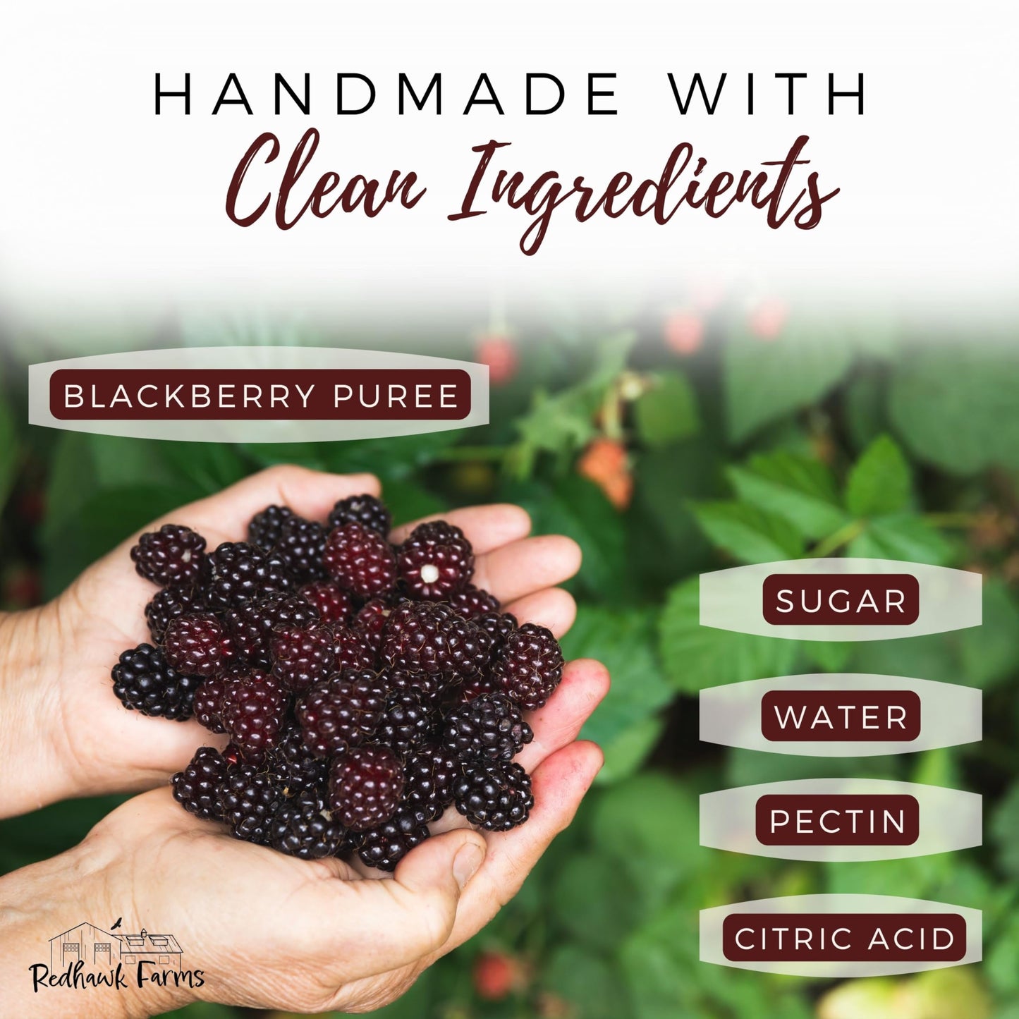 Redhawk Farms Seedless Blackberry Jam - All-Natural Blackberry Preserves With No Artificial Flavors, Sweeteners Or Preservatives