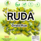 Ruda Seca T? - Rue Dried Herbs Tea - 4 oz (113 g) - Ruta Graveolens Loose Leaf - Traditional Herbal Infusion - 100% Natural  Wildcrafted  Vegan  Non-GMO - by BexpertsUSA