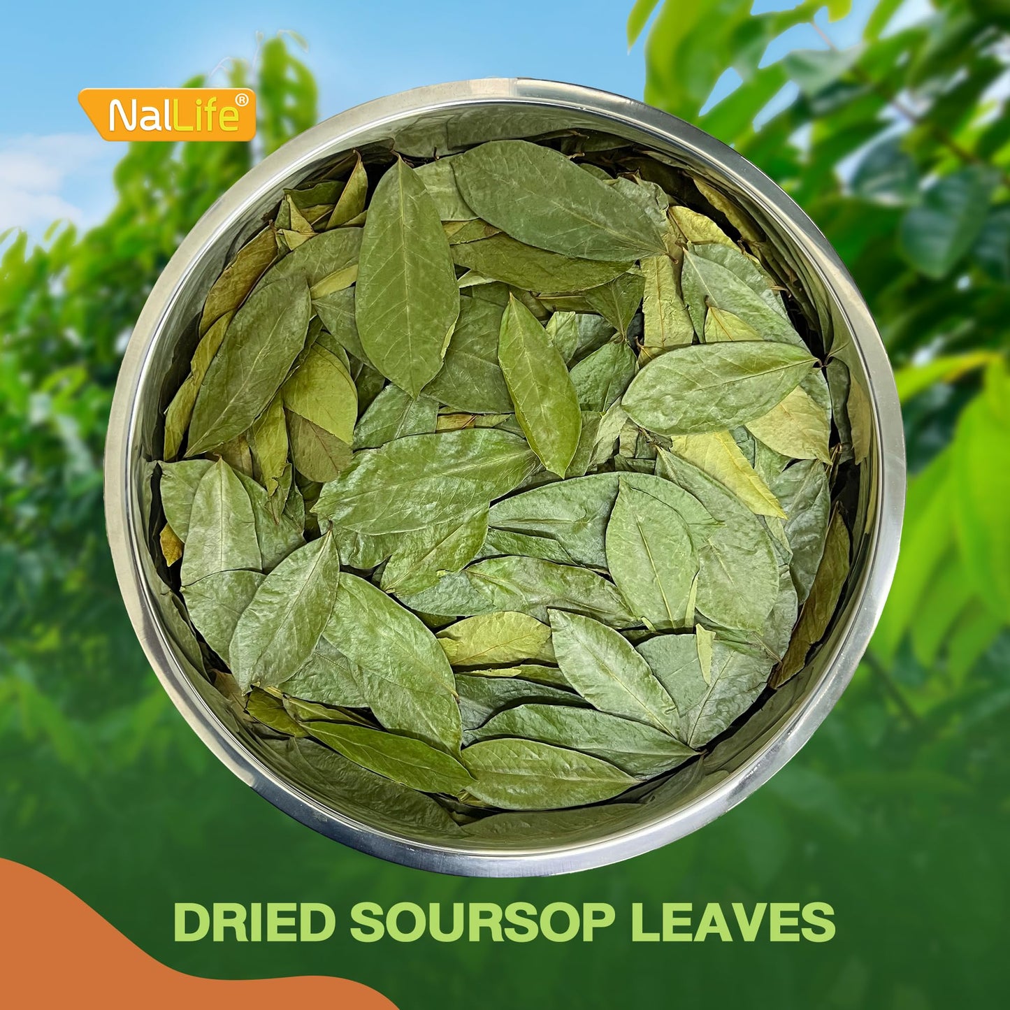 NalLife Soursop Leaves for Tea 100 Leaves