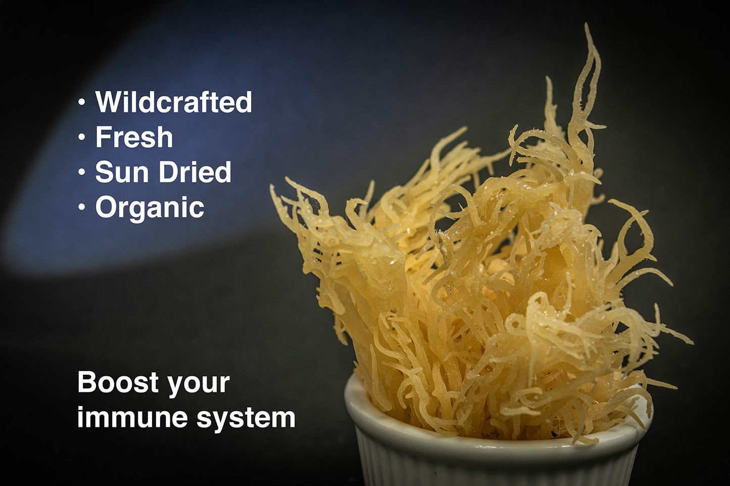KARIBBEAN FLAVOURS Dried Sea Moss - Wildcrafted Superfood - 3 Oz (Pack of 5)