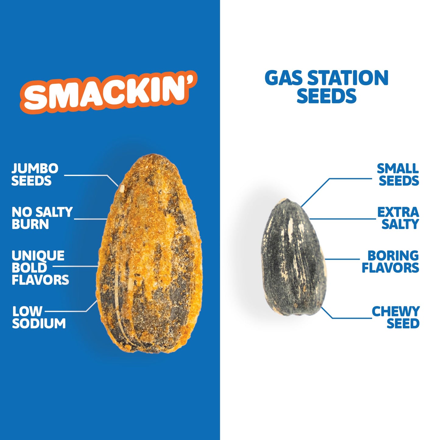 SMACKIN Sunflower Seeds  No Salty Burn  Roasted Jumbo Small-Batch  American Made - 10 Flavor Variety. 1.5oz bags (10 Bags)