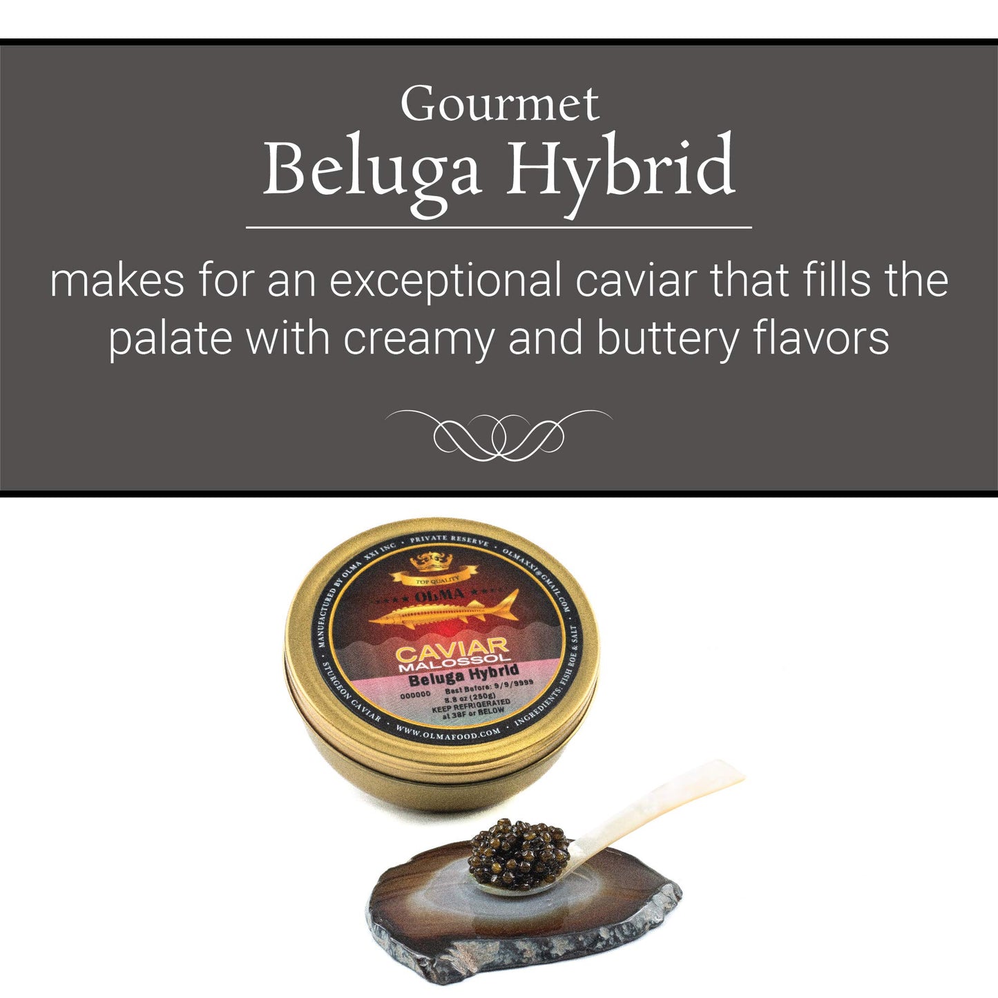 Overnight Shipping - Olma Beluga Hybrid Black Caviar From Italy - Rated Top Caviar In The World - 8.8 Oz / 250 G