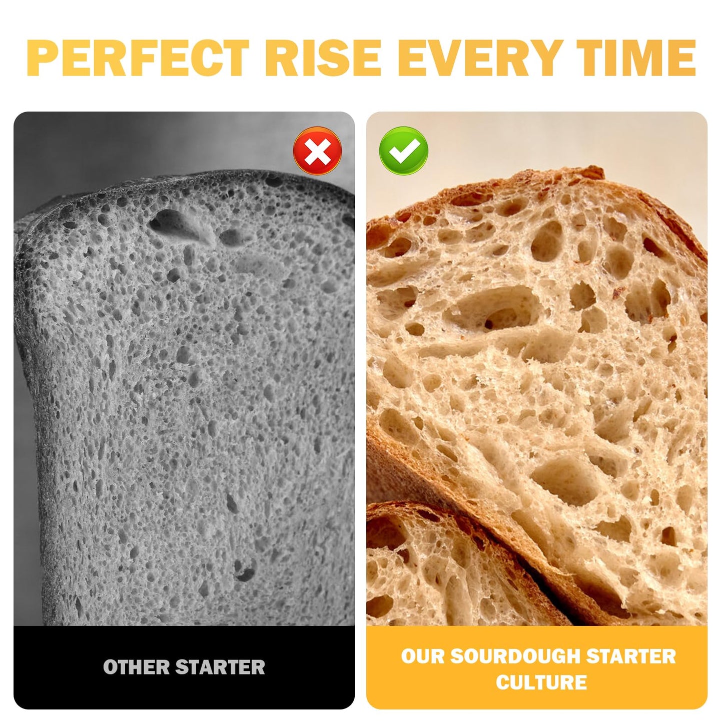 OVOVYME Dehydrated Sourdough Starter Culture, Fast Activation, 10g, San Francisco Style, for Homemade Artisan Bread