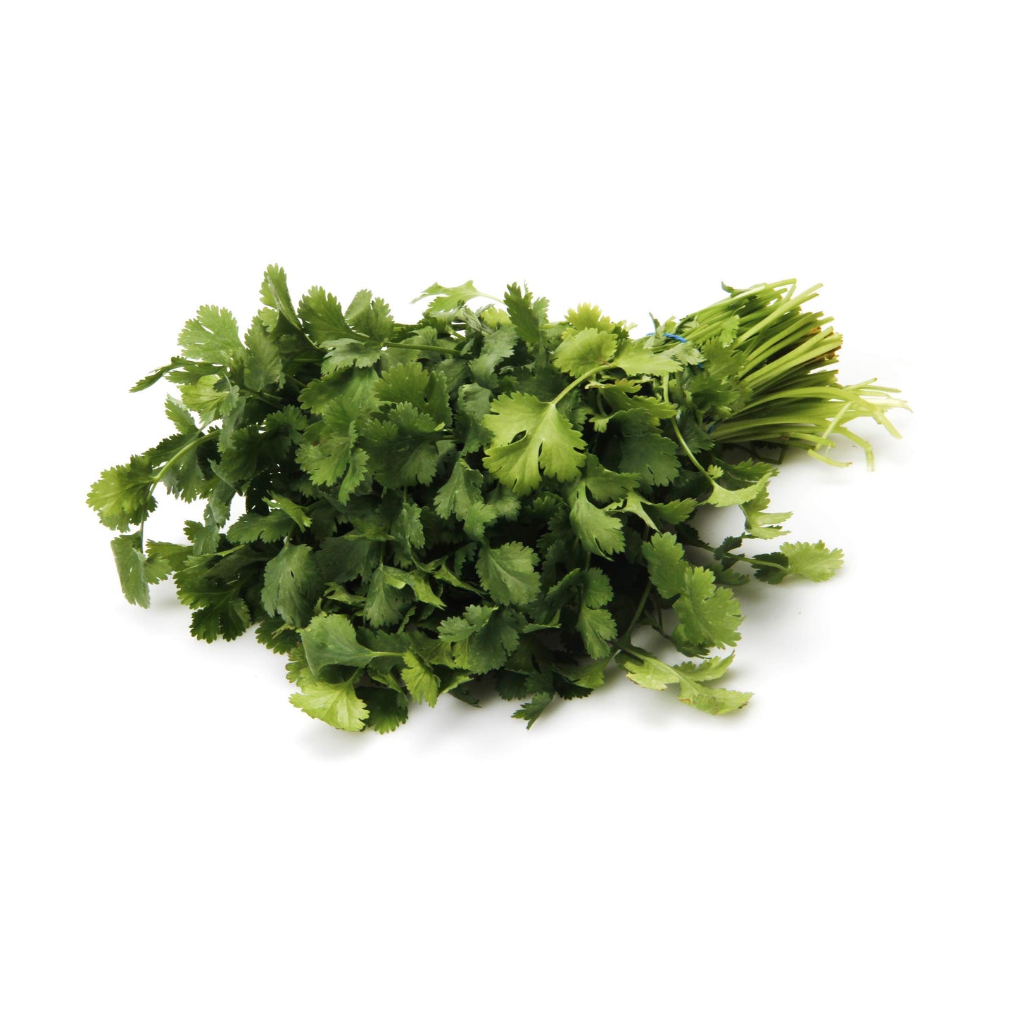 Organic Cilantro, 1 Bunch