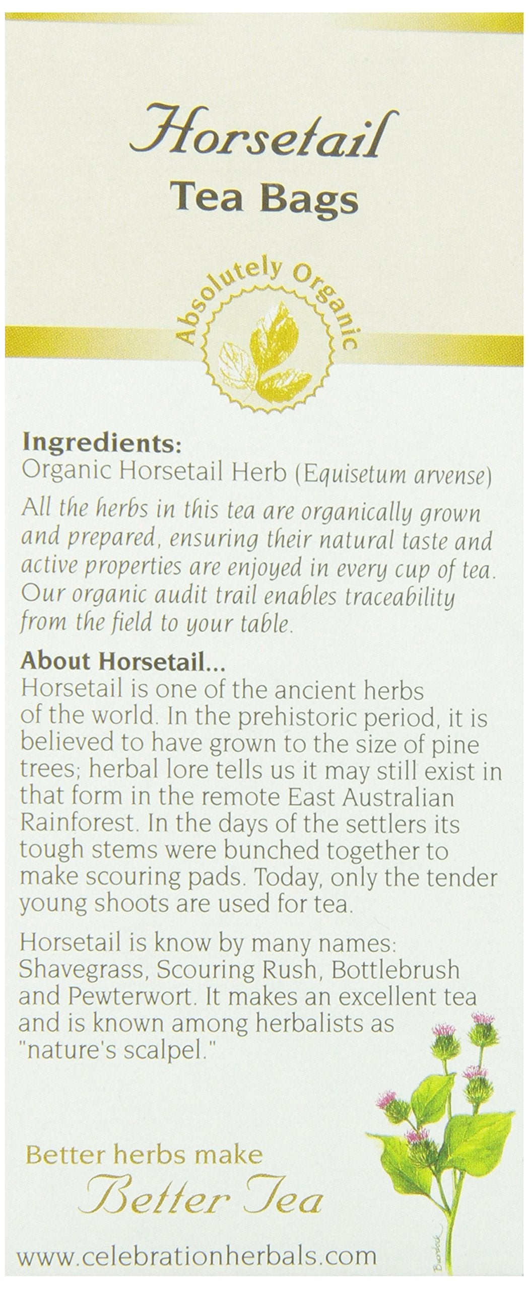 Celebration Herbals Horsetail Tea Organic 24 Bag, 1.16 0Z