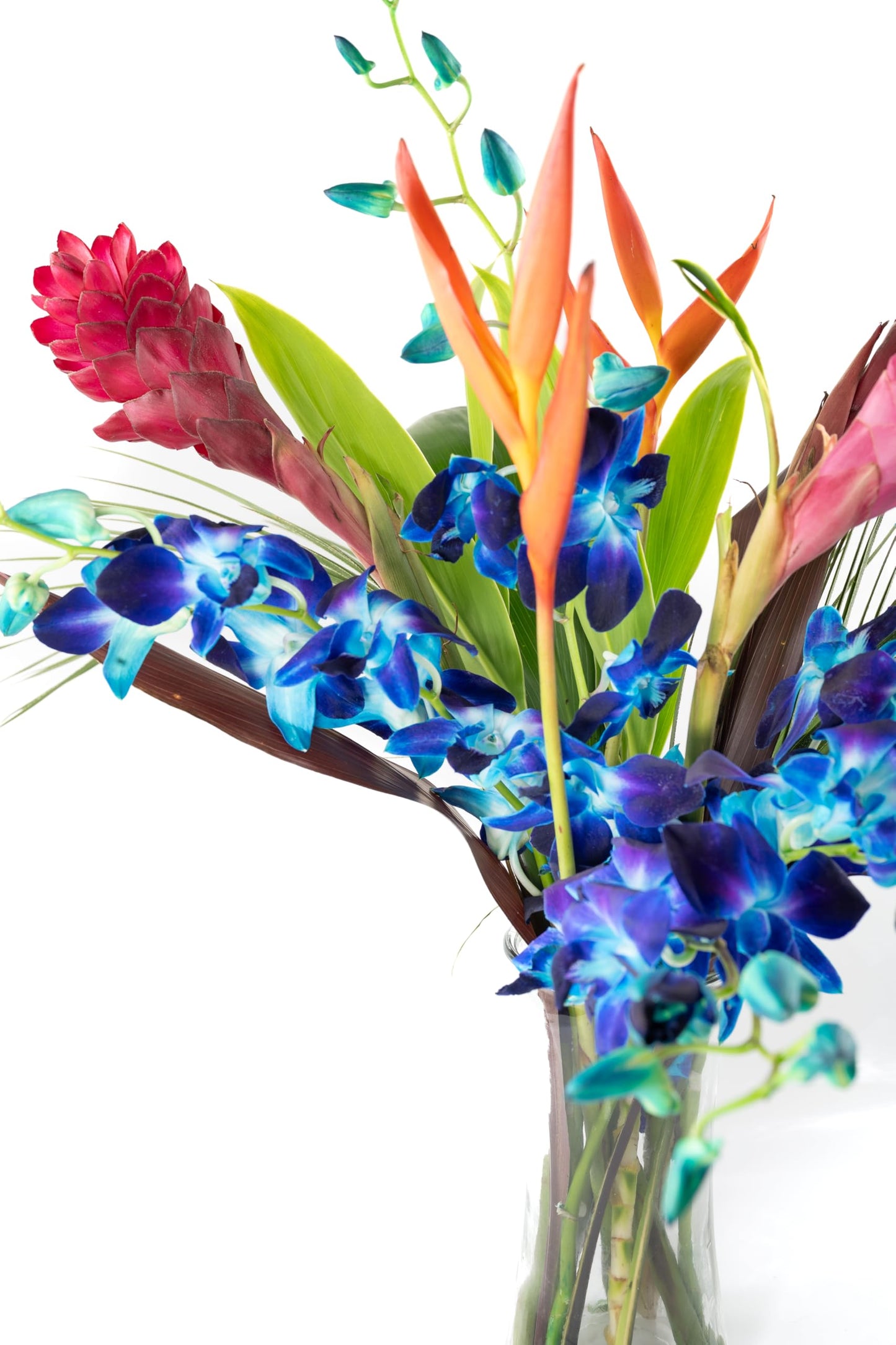 Fresh Orchids And Tropical Flower Bouquet, Perfect For Birthdays, Easter, Mother 'S Day, Anniversaries, Gifts, Etc. (Multicolor
