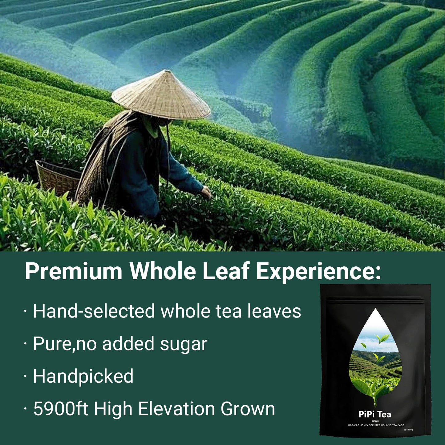 Pipi Tea Pipi Oolong Te  Extra Value 4g*25 Bags Selected Tea Leaves  Cortisol & Calming Tea for Stress Relief  Vegan  Non-GMO (1)