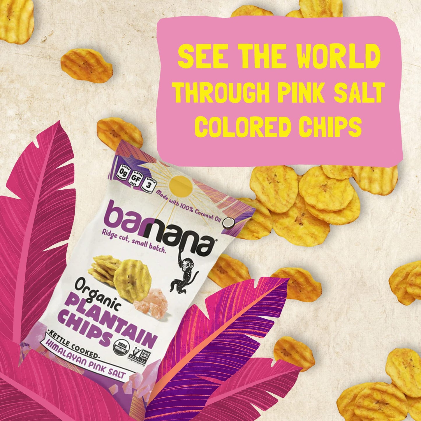 Barnana Organic Plantain Chips, Himalayan Pink Salt, 2 oz, 6-Pack, Non-GMO, Vegan, Paleo, Grain-Free, Healthy Snack