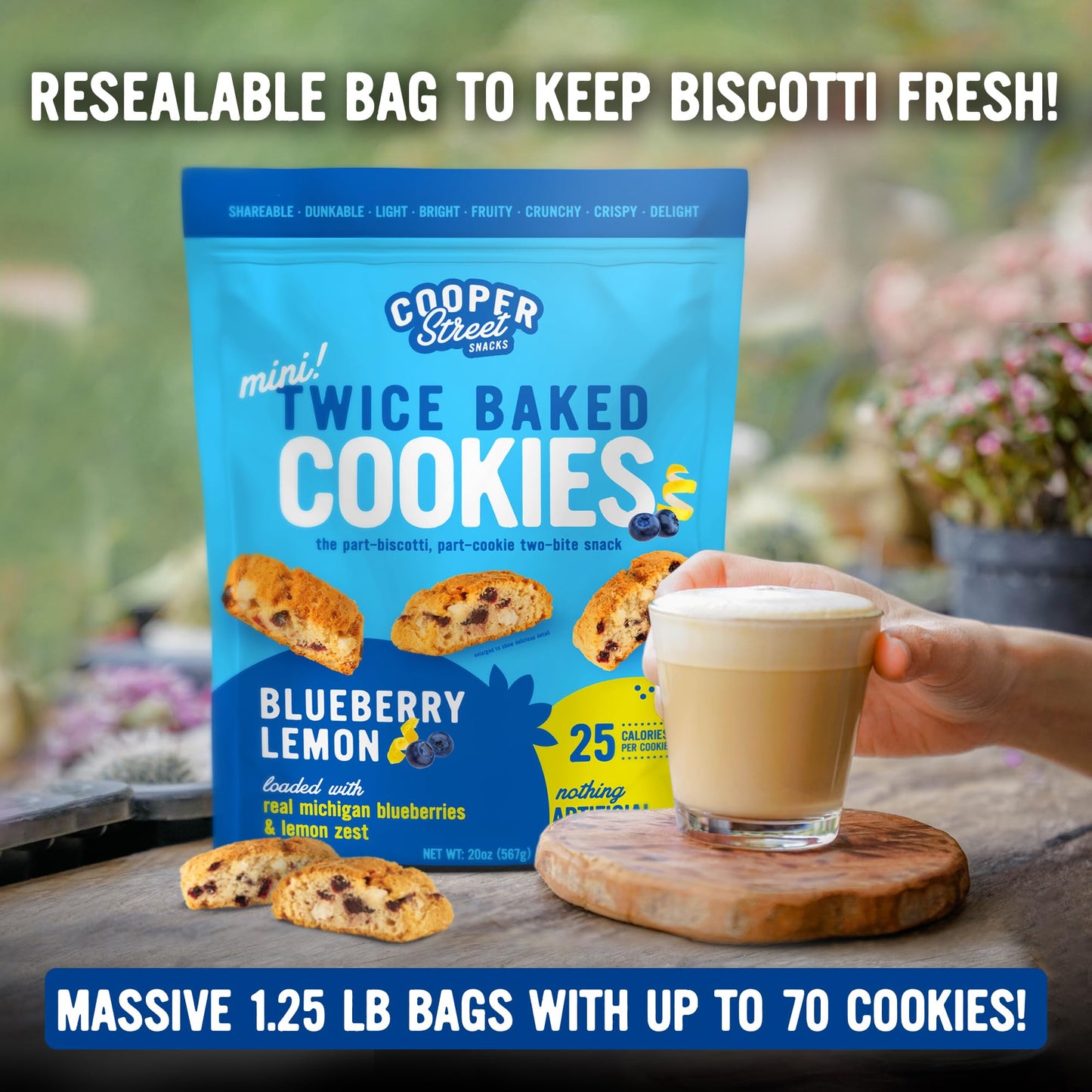 COOPER STREET Biscotti Cookies - Blueberry Lemon Flavor, 20oz (Pack of 2), Peanut & Dairy Free, Crispy and Healthy