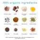 Feel Vegan Protein Bars | Mint Chocolate Chip | Keto | Gluten Free | Organic | Chaga Mushroom | 15G Plant Protein | Low Carb | High Protein | Dairy Free | Low Sugar | Grain Free | Nut Free | Soy Free