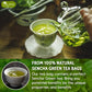 Tog999, Premium 60 Sencha Green Tea Bags, 100% Natural & Pure From Sencha Green Tea Leaves. Loose Leaf Sencha Herbal Tea. No Sug