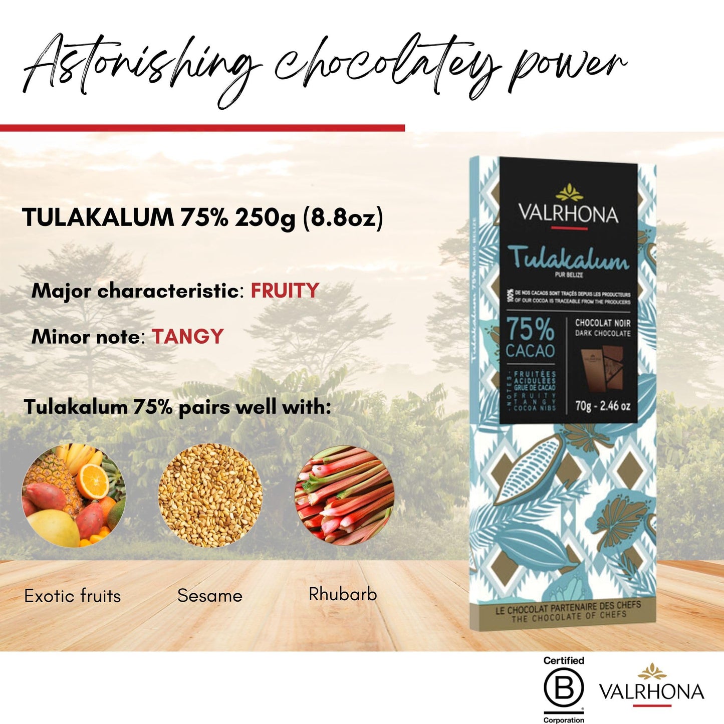 Valrhona Premium Dark Chocolate Tulakalum 75% Cacao Tasting Bars-Single Origin Belize Gourmet French Chocolate Perfect For Bakin