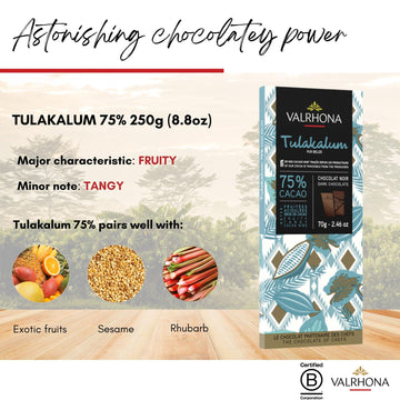 Valrhona Premium Dark Chocolate Tulakalum 75% Cacao Tasting Bars-Single Origin Belize Gourmet French Chocolate Perfect For Bakin