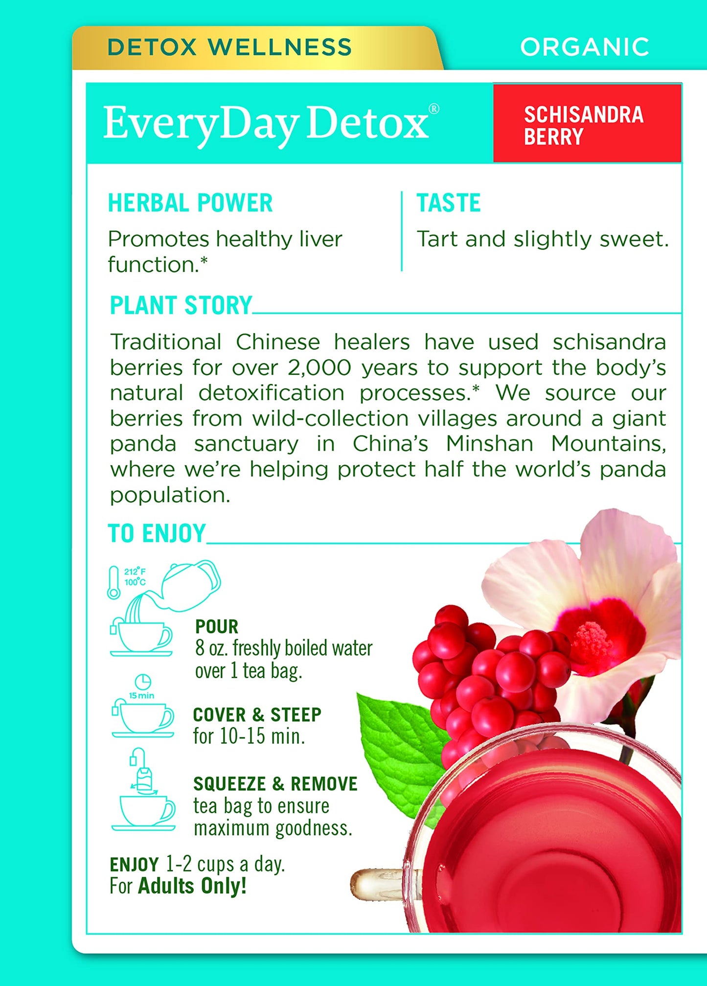 Traditional Medicinals Organic Everyday Detox Schisandra Berry Herbal Tea, Supports Healthy Liver Function, (Pack Of 3) - 48 Tea Bags Total