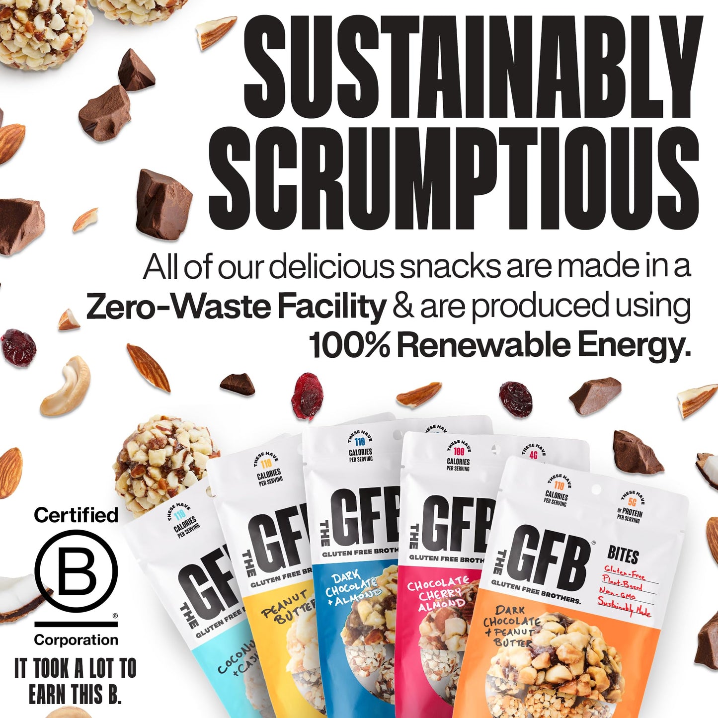 The Gfb Variety Pack Protein Bites - Gluten Free, Plant Based, Non Gmo, Sustainably Made – Ridiculously Tasty, Healthy, Vegan, Protein Energy Balls, 4 Oz (6 Count)