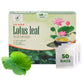 Nmpt Dried Lotus Leaf Tea, 100% Hand Pick, Organic Herbal Tea, 50 Tea Bags, Gluten Free, Dairy Free, Sugar Free & 100% Natural, Energy Boost & Health Support