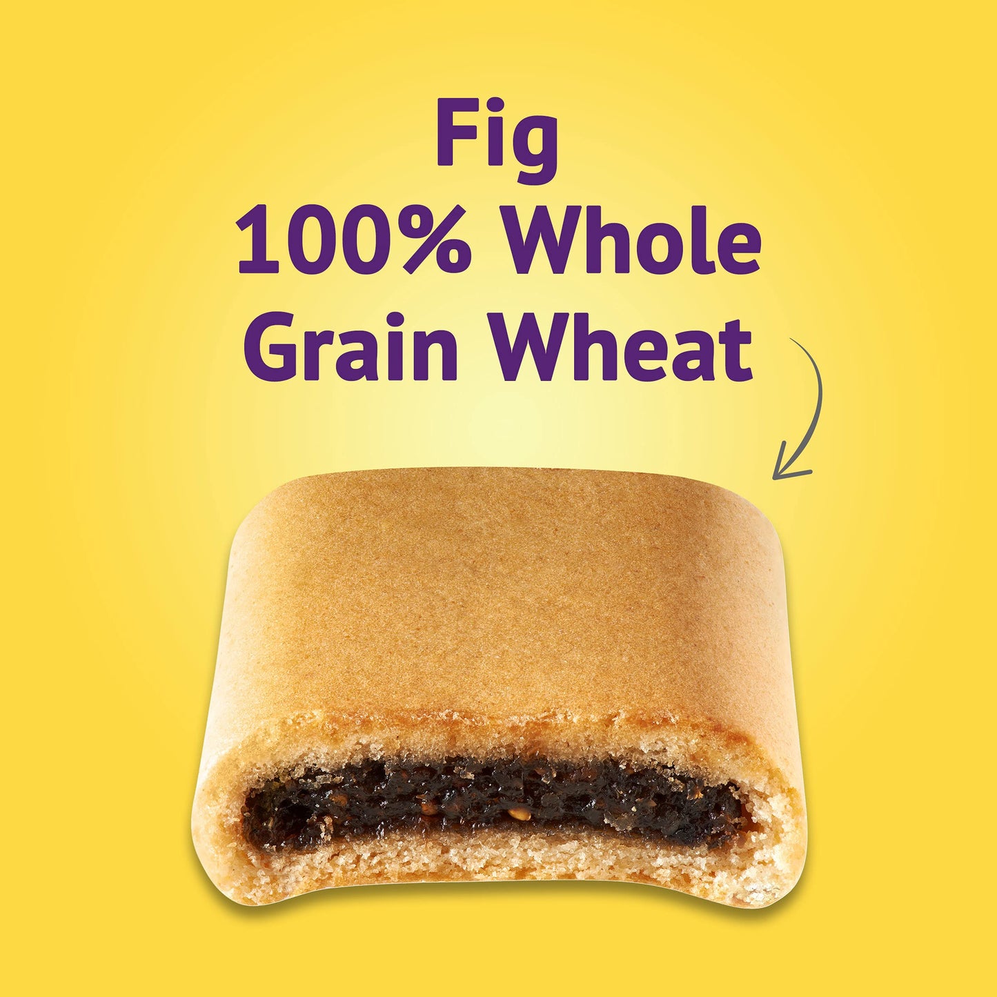 Newtons 100% Whole Grain Wheat Soft & Fruit Chewy Fig Cookies, (Fig Bars), 10 Oz Pack