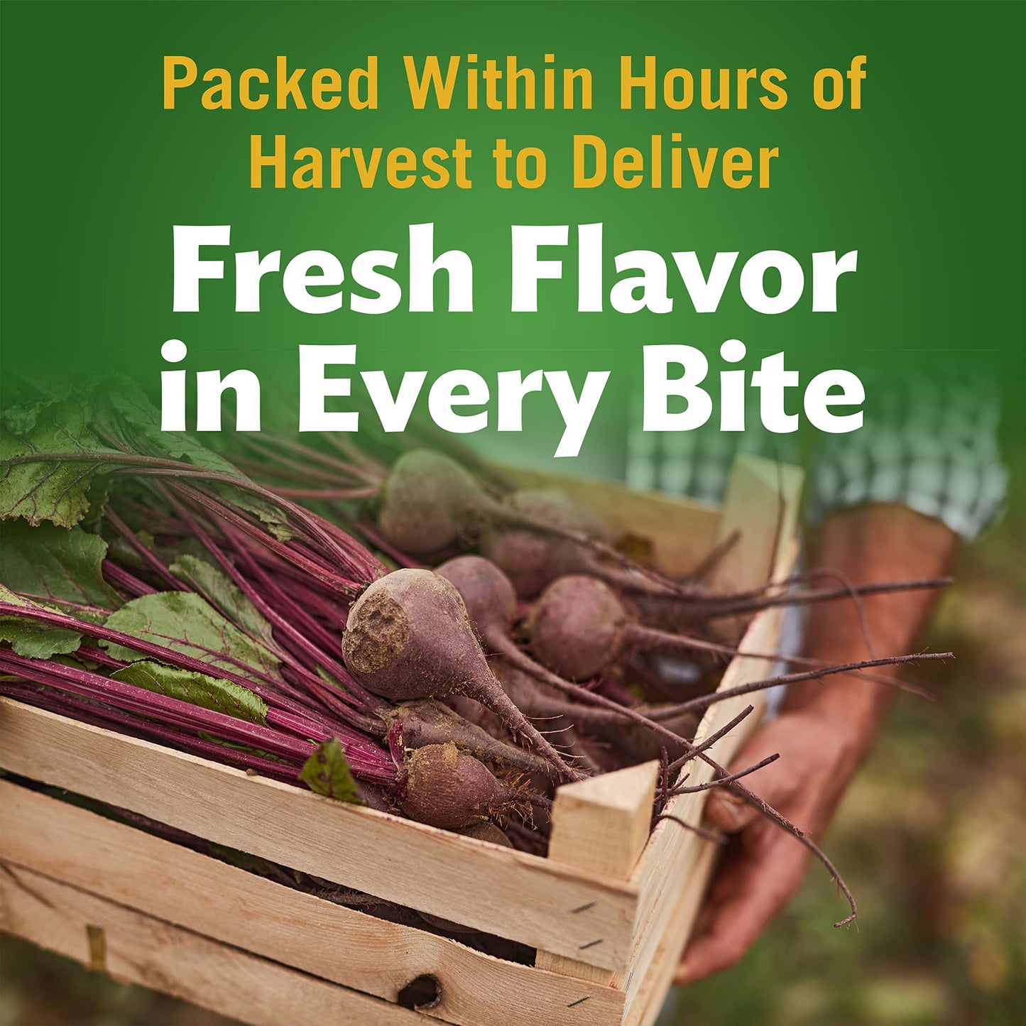 Del Monte Fresh Cut Canned Beets Sliced Canned Vegetables, 12 Pack, 14.5 Oz Can