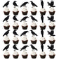 Leetaivie 24Pcs Black Glitter Crow Dessert Cupcake Toppers - Featured Halloween Themed Party Cake Topper (Black)