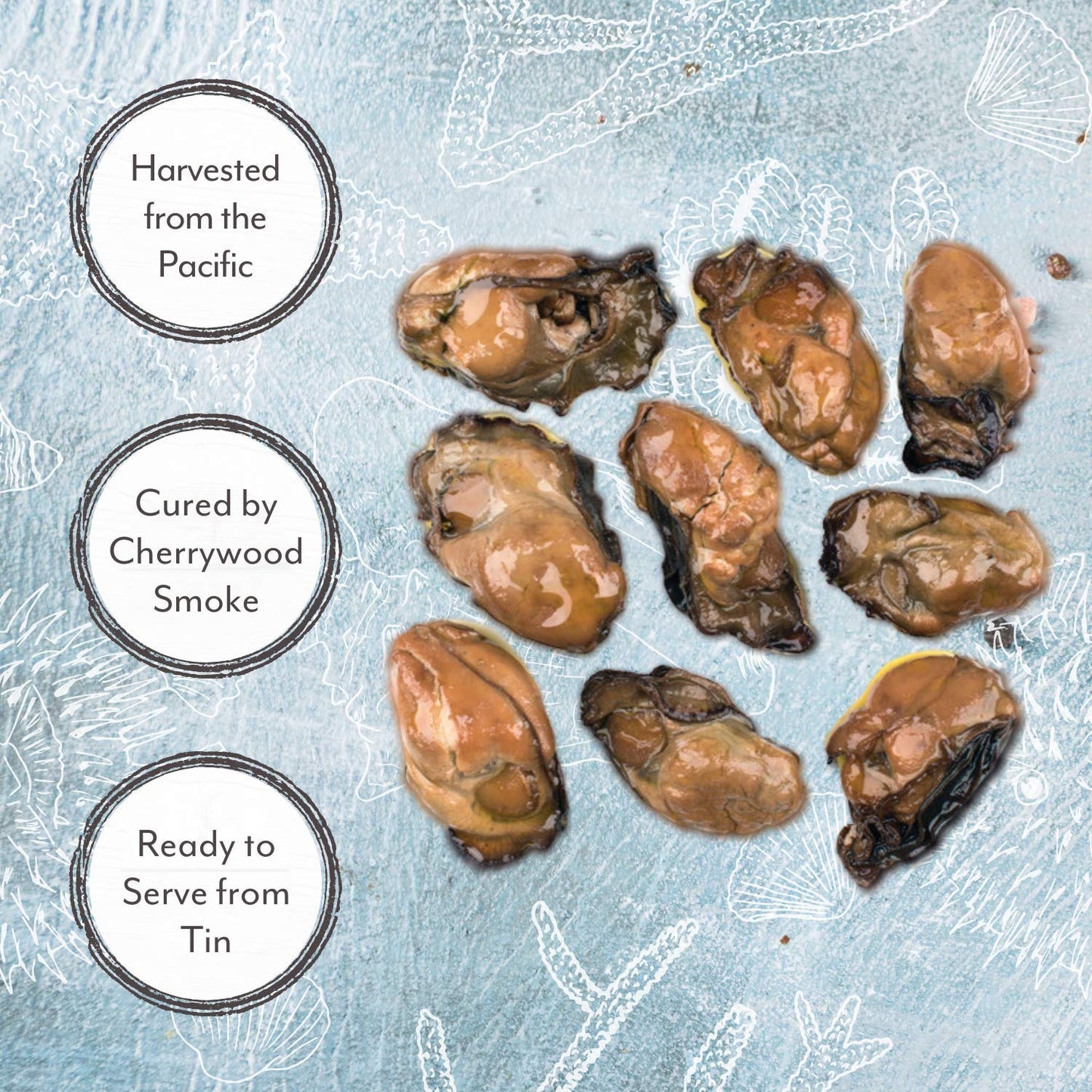 Roland Foods Premium Smoked Oysters in Oil, Wild Caught, 3 Oz Tin, Brown