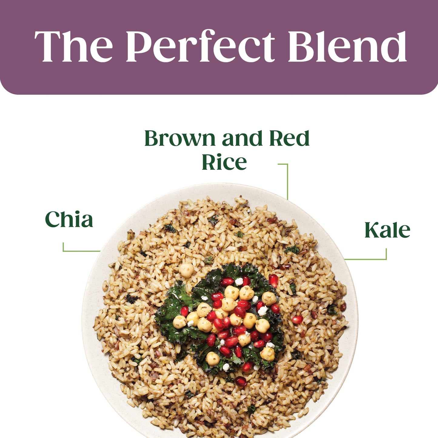 SEEDS OF CHANGE Certified Organic Brown & Red Rice with Chia & Kale, Organic Food, 8.5 OZ Pouch - Pack of 12
