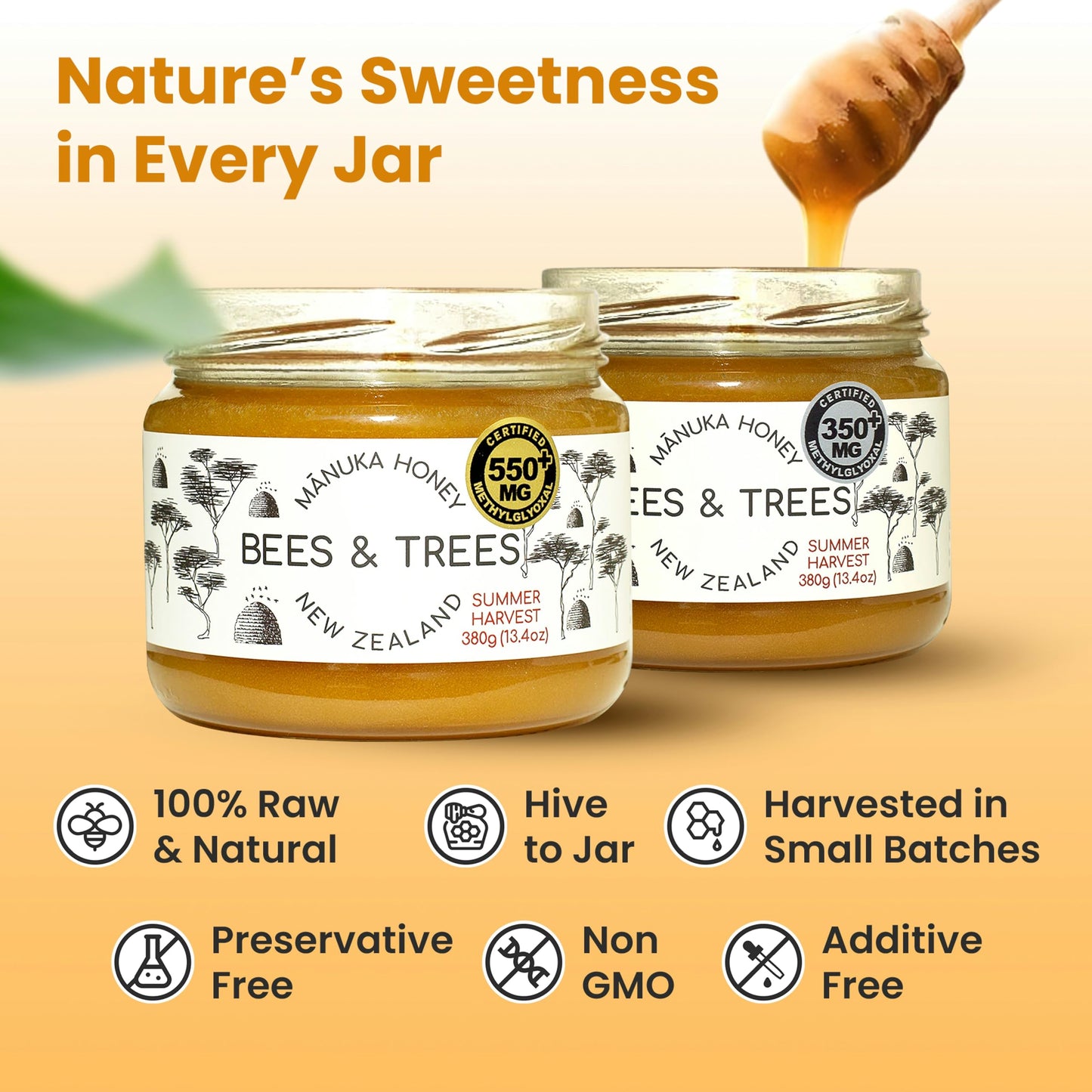Bees & Trees New Zealand Manuka Honey 550+ and 350+ MGO - Pure, Raw, Unpasteurized Monofloral Superfood Honey for Wellness & Vit