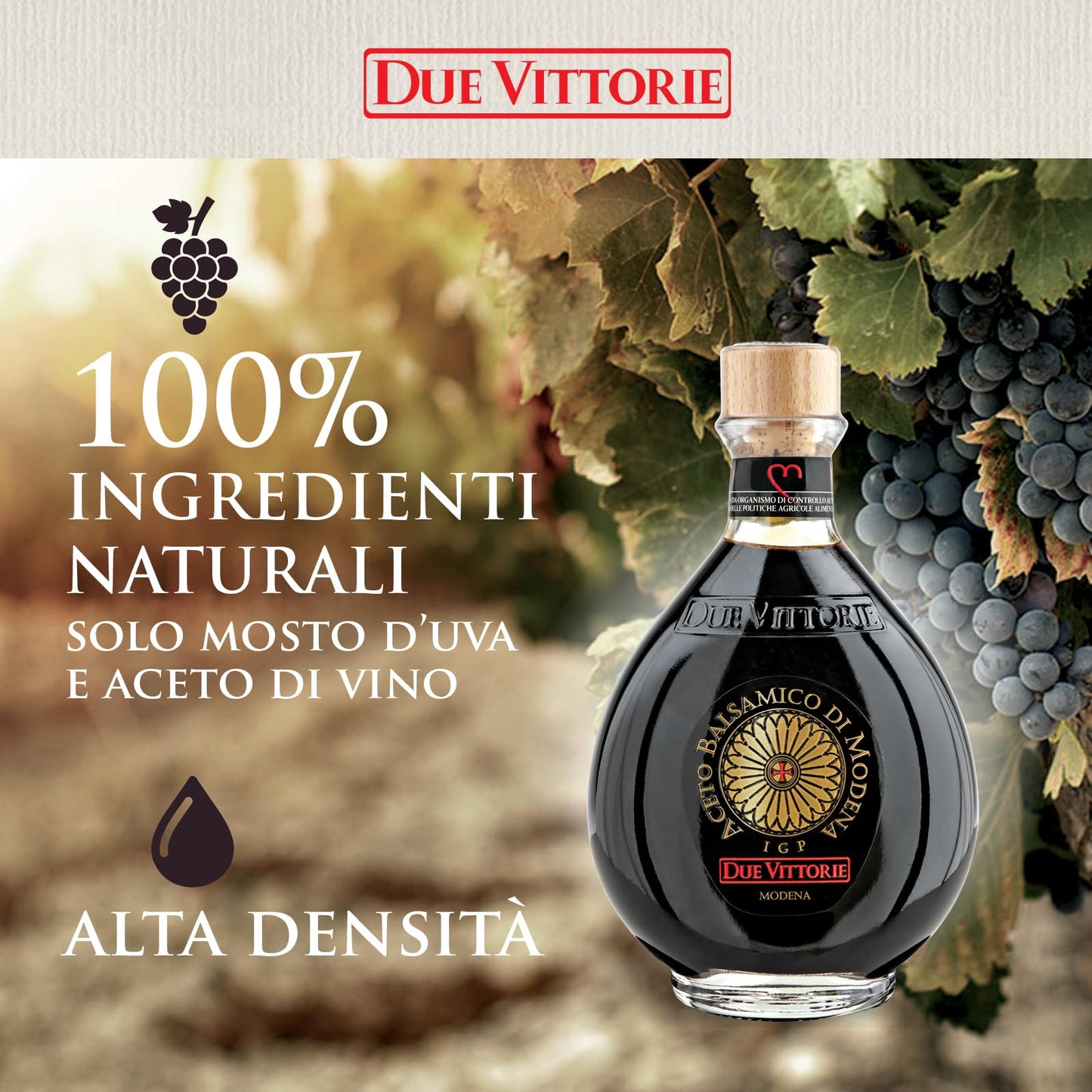 Due Vittorie Balsamic Vinegar, Barrel Aged, 8.45 fl oz / 250ml, IGP Modena, All-Natural, Cork Pourer, Extra Dense