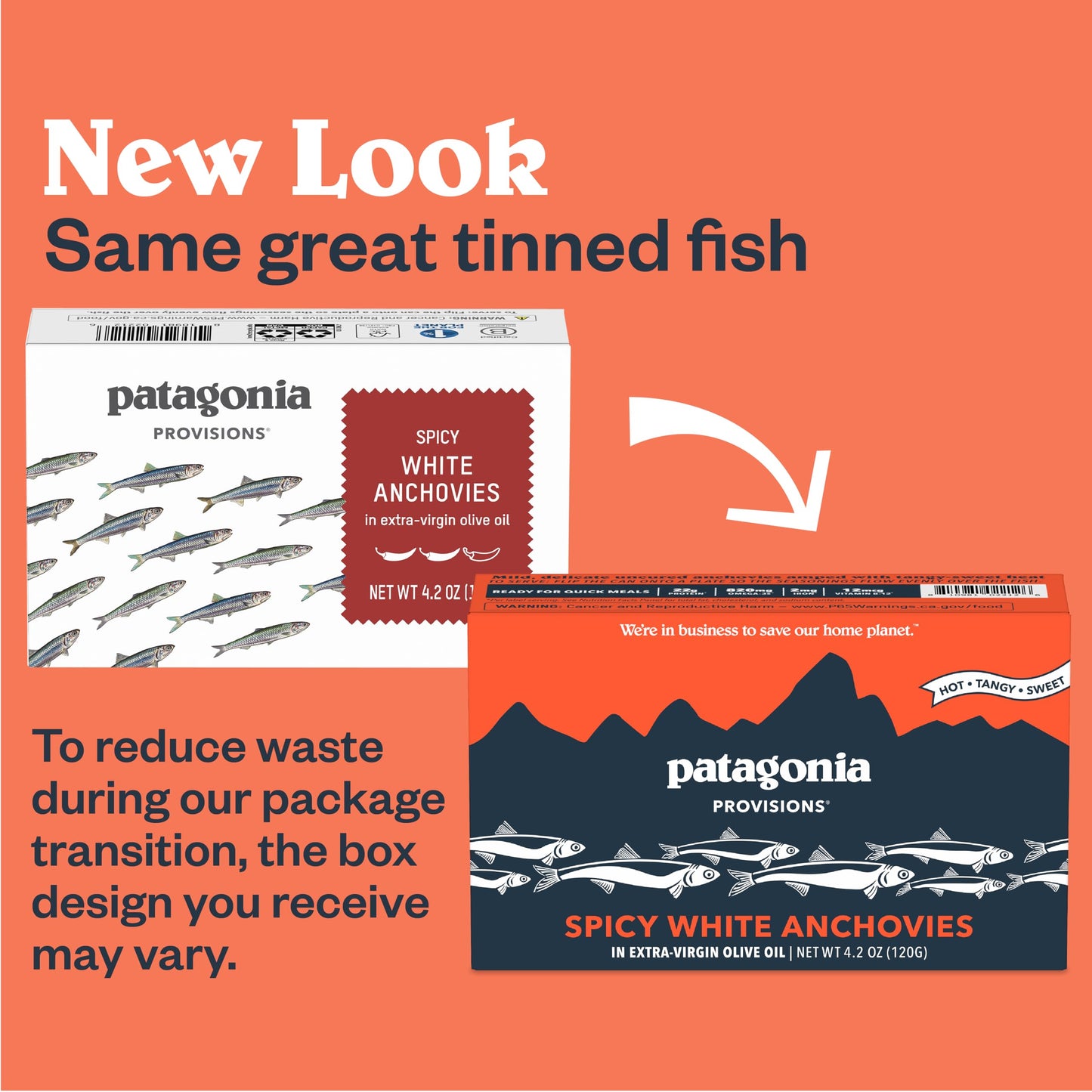 Patagonia Provisions Spicy White Anchovies | Responsibly Sourced In Spain | 22G Protein & Gluten Free | 4.2 Ounce (Pack Of 10)