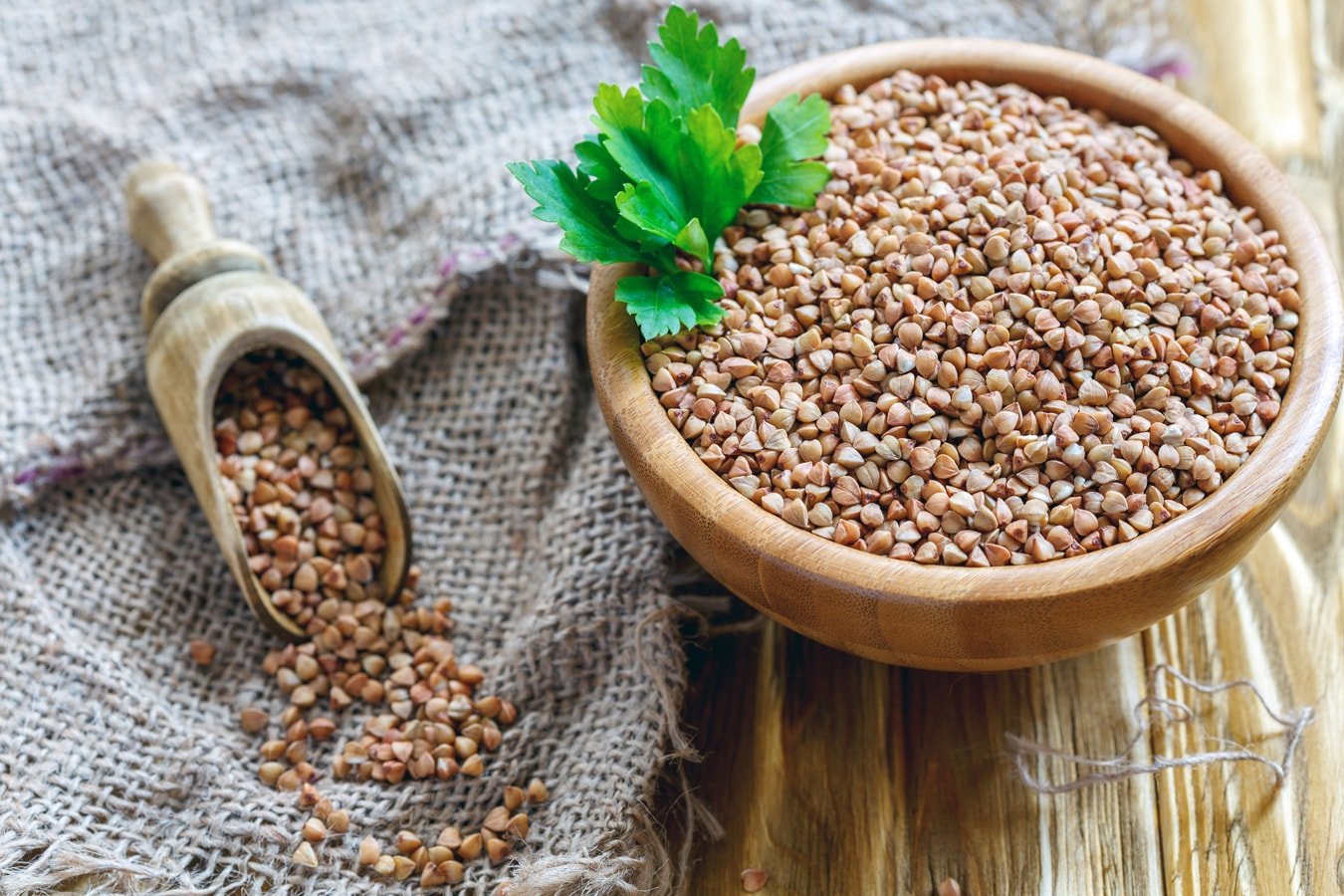 Food To Live Organic Buckwheat Kasha, 16 Pounds - Grechka, Toasted Whole Groats, Non-Gmo, Kosher, Sirtfood, Bulk