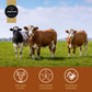 Premium Aufschnitt Beef Jerky - Extra Tender, Grass Fed, Low Sodium, 24 Pack, Sweet Chipotle