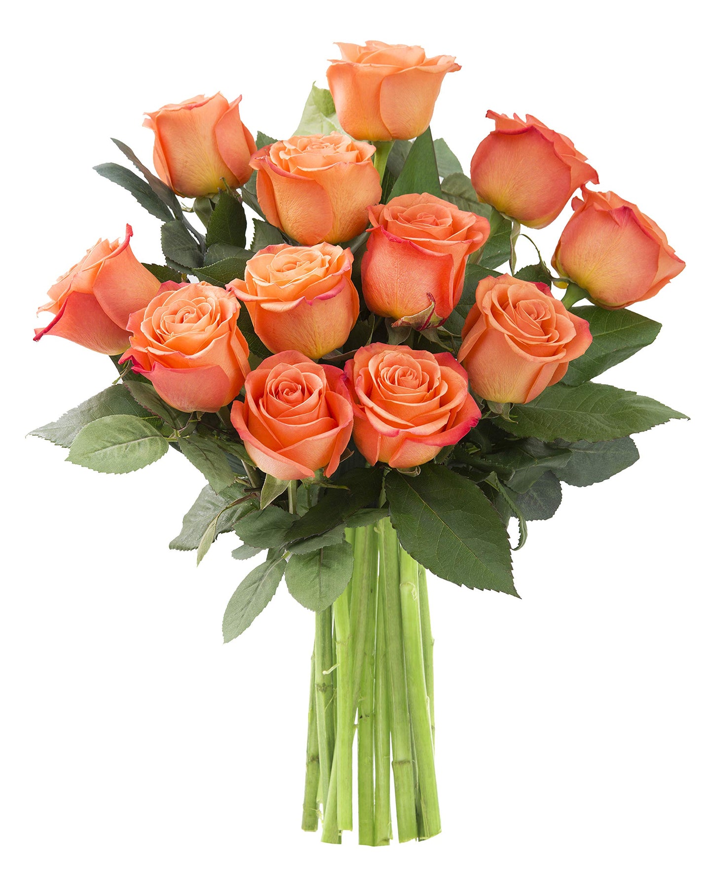 KaBloom Fresh Orange Roses Bouquet - 12 Long-Stem Flowers - Mothers Day Collection - Model KADF2755-V999-A999