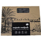 Majestic Medjools: Premium Dates from the Jordan River Valley (5Kg)