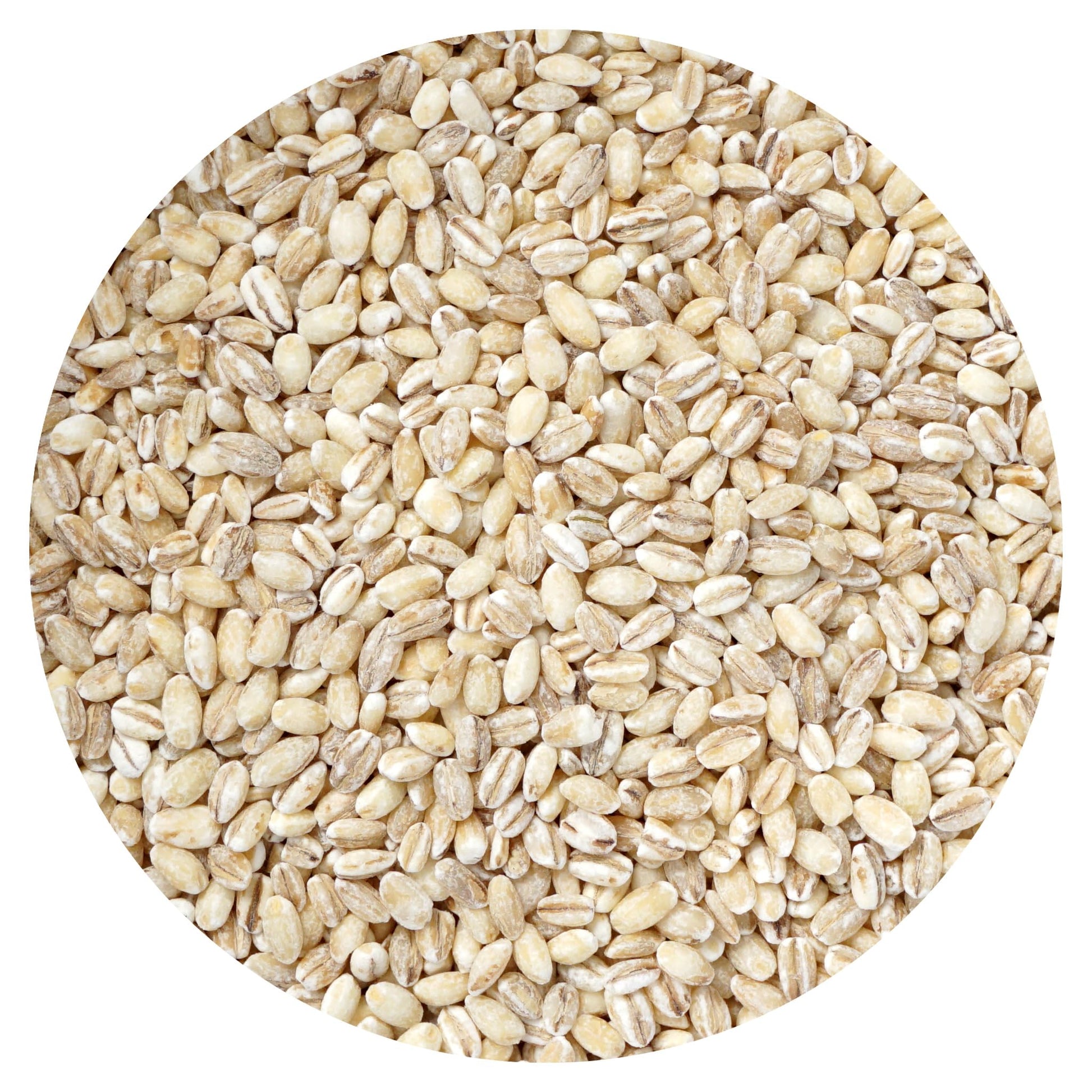 Hampton Distribution Barley Pearl, 16 Ounce Bulk Bag for Cereals, Salads, Stews