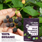 SIHASO Organic Freeze Dried Black Raspberry Powder, 6.35oz - 100% Whole Fruit, Vegan Superfood for Smoothies & Baking, Black Raspberry Flavor