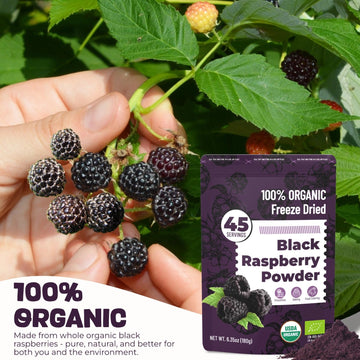 SIHASO Organic Freeze Dried Black Raspberry Powder, 6.35oz - 100% Whole Fruit, Vegan Superfood for Smoothies & Baking, Black Raspberry Flavor