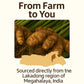 Go-Yogik Lakadong Turmeric Powder-1Lb, High Curcumin -Lab Tested | Superfood | Traditionally Grown, Direct From India.