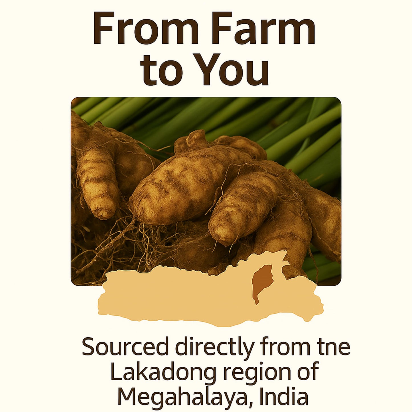 Go-Yogik Lakadong Turmeric Powder-1Lb, High Curcumin -Lab Tested | Superfood | Traditionally Grown, Direct From India.