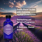 Zongle Lavender Essential Oil, French, Safe To Ingest, 4 Oz