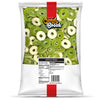 Candy Break Fruity Sweet Apple Rings Bulk Gummy Candy, 5 lbs Bag, Share Size Bags - Sweet & Chewy Snacks for Kids & Grown Ups, P