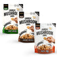 EVIL SNACKS Crunchy Mushroom Chips Variety Pack, Non-GMO, Vegan, 2 Oz (3 Pack)
