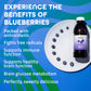 Dynamic Health Blueberry Concentrate, 100% Concentrate, Unsweetened, No Additives, Brain Function, Antioxidant Support, Vegan, G