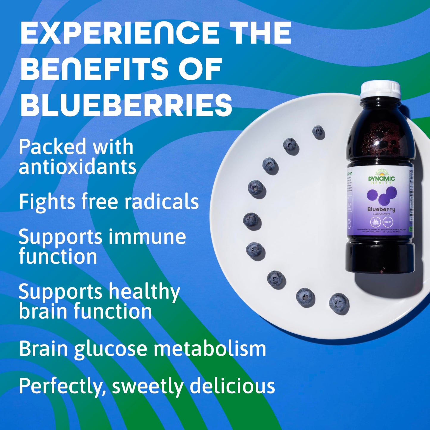 Dynamic Health Blueberry Concentrate, 100% Concentrate, Unsweetened, No Additives, Brain Function, Antioxidant Support, Vegan, G