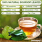 BOTAMONY Soursop Graviola Leaf Tea Bags, Organic Non-GMO, Caffeine/Gluten Free, 2.5g per Teabag
