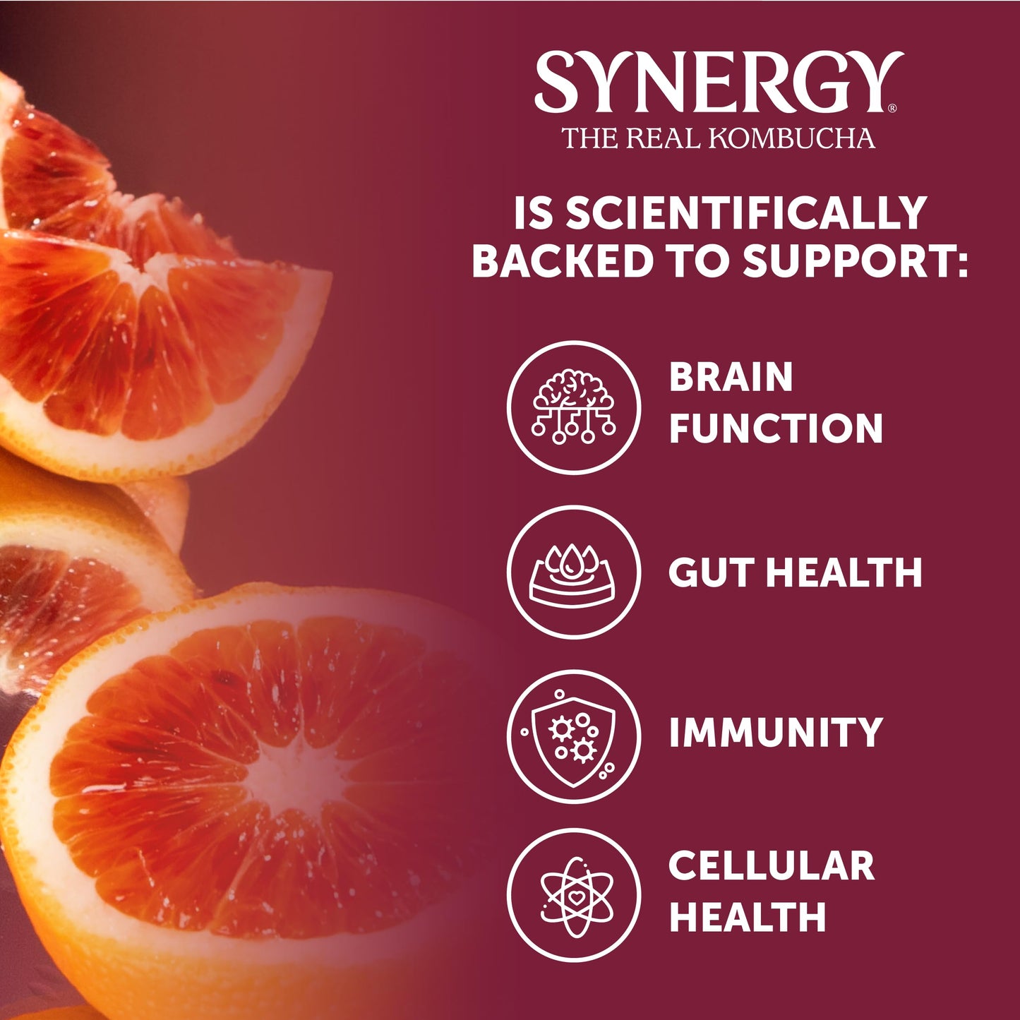 SYNERGY The Real Kombucha - Blood Orange - 16 fl oz Bottle - Raw Probiotic Drink for Gut Health and Immune Support