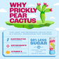PRICKLEE SUPERFRUIT WATER Prickly Pear Cactus Water - Natural Sports Drink, 12 Fl Oz (Pack of 12), Low-Sugar, Non-Sparkling