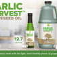 Garlic Harvest Grapeseed Oil 64 Oz (High Smoke Point, Gluten-Free, Non-Gmo, Healthy Evo Alternative)