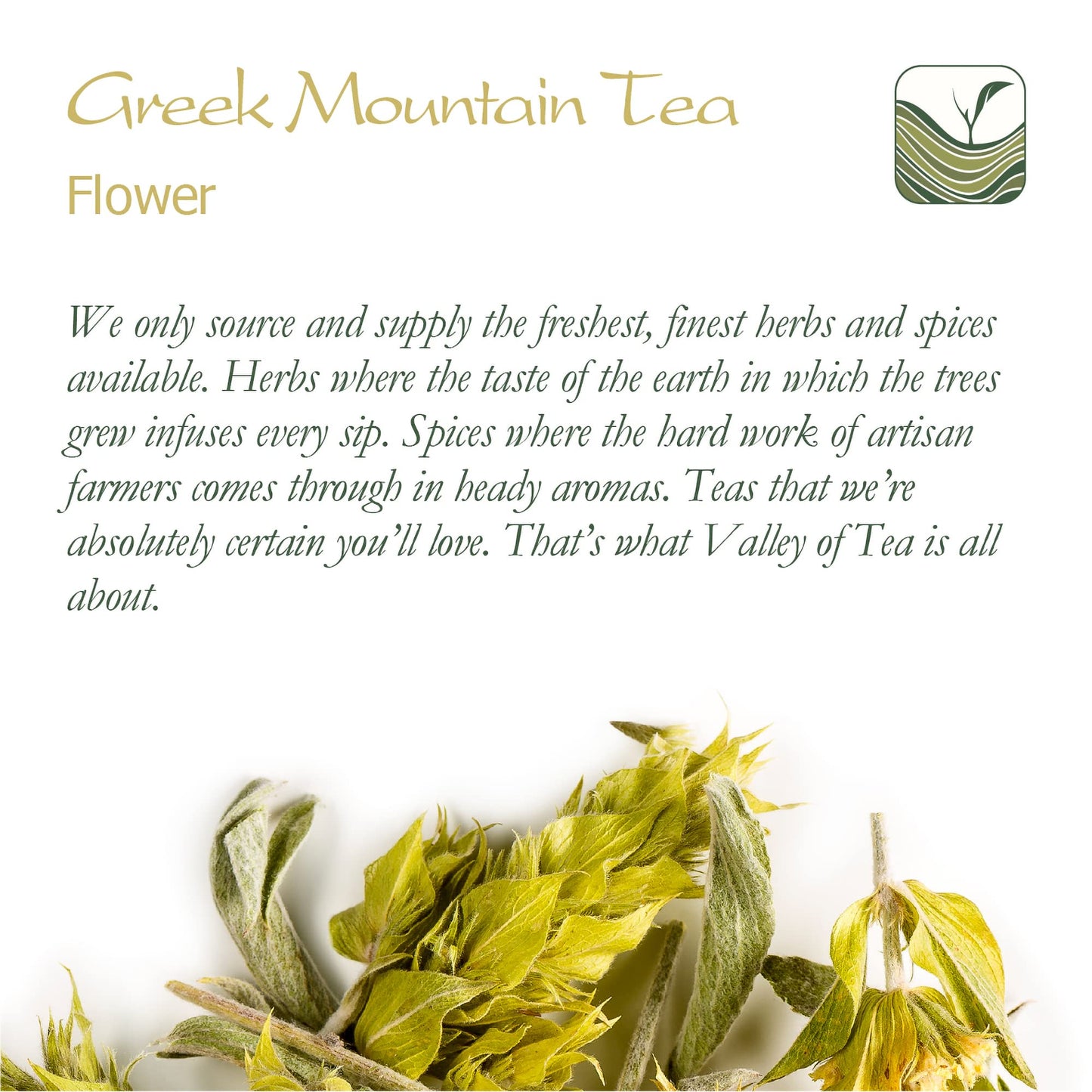 Greek Mountain Tea Organic Handpicked - Ironwort Herbal Tea Mt Olympus Greece - Sideritis Scardica Shepherds Greek Teas Mountai