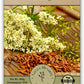 Gaea's Blessing Seeds - Caraway Seeds for Planting - Non-GMO Open-Pollinated Heirloom 93% Germination Rate