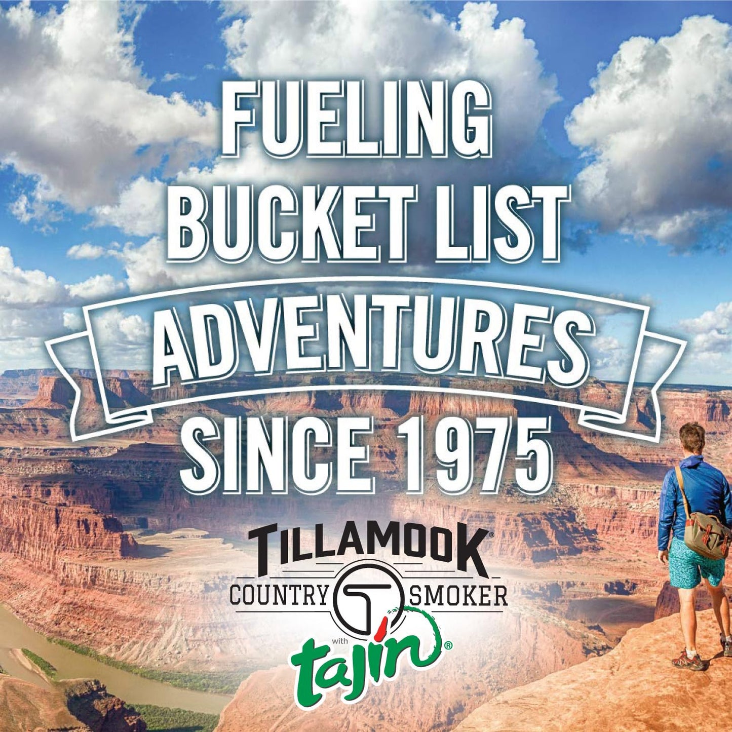 Tillamook Beef Jerky, Chili Lime Tajin, Low Carb & High Protein Snack, 2.2 oz